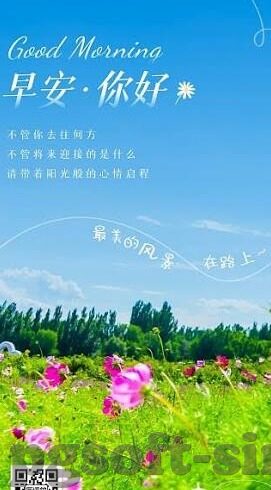 美式职业足球直播比分-美式职业足球直播比分，赛场风云的实时脉搏与深度解读