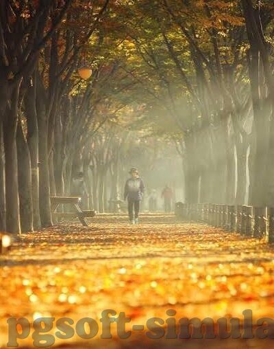 太阳报足球比分比分直播-太阳报足球比分直播，球迷的实时战场，激情与数据的交响曲