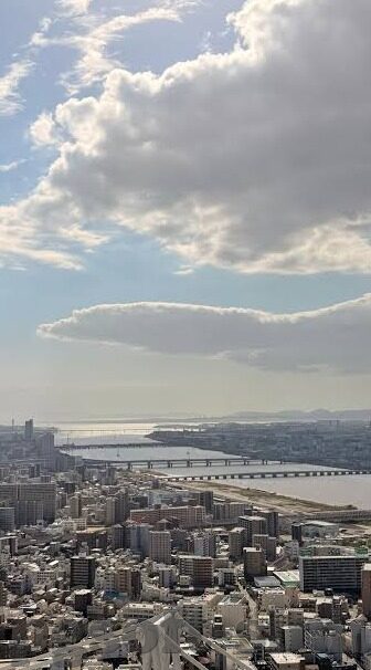 足彩足球比分网-足彩足球比分网，揭秘背后的真相与风险
