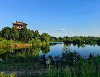 足球周六比分-周六足球烽火，比分背后是激情与梦想的碰撞